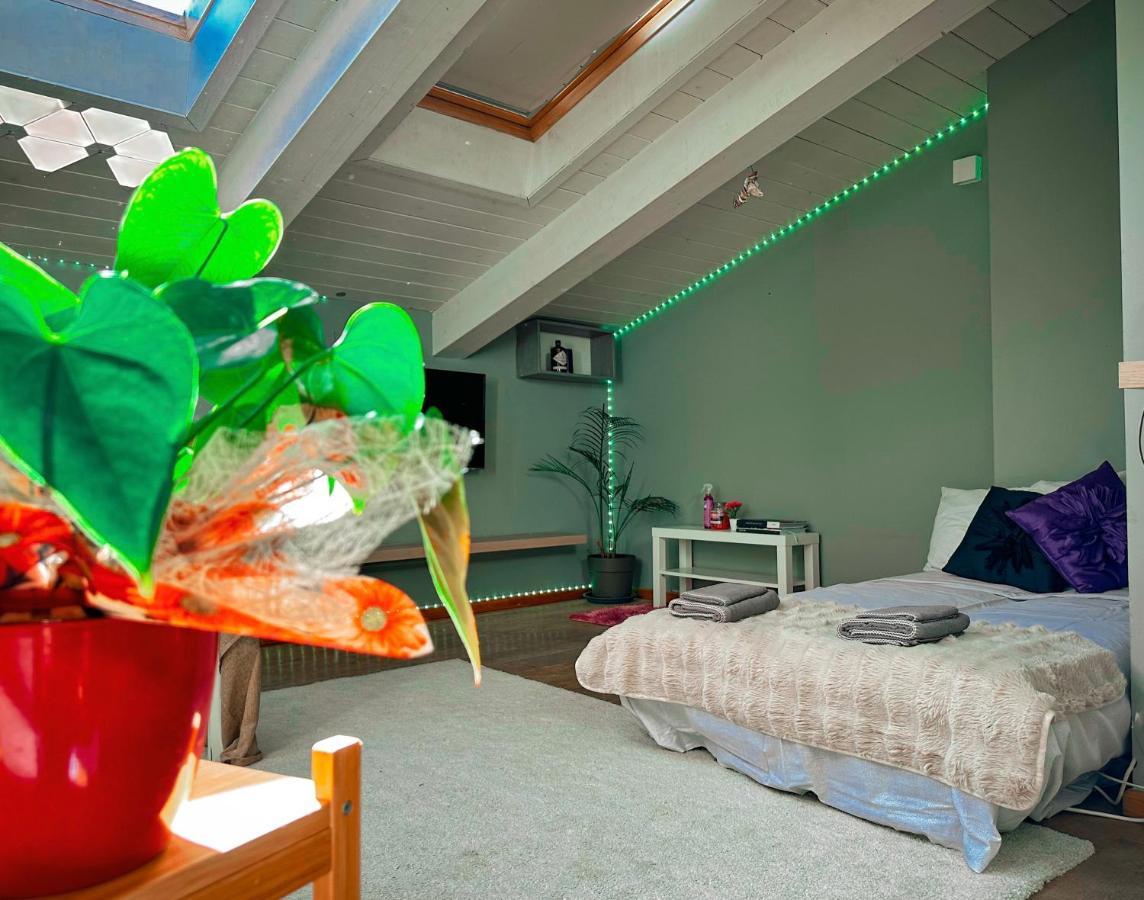 Apartment Accogliente Mansarda In Centro Storico Ravenna